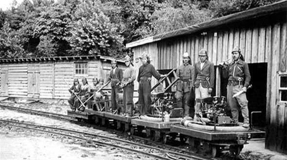 The Forest Firemen